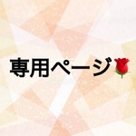専用ページ🌹