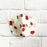 ✨送料無料✨サクランボ🍒柄のポケット付き❤︎マスク❤︎大人用❤︎