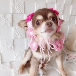 お花の帽子デイジーで可愛さアップ