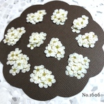 ♡new♡作家様必見♡ 人気のコデマリがいっぱい♡ 押し花セット
