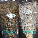かすみ草ゴールド&ホワイト ハーフ&ハーフ