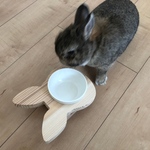 ウサギ型エサ入れ