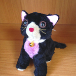 空を見上げる黒猫ちゃん