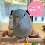 nanat33様　専用ページ