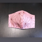 鬼滅の刃　小学生用⭐︎立体マスク　