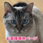 nhmkr910501様 専用ページ   ^._.^