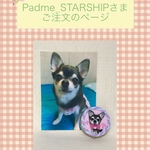 Padme_STARSHIP様ご注文品＊愛犬のオリジナルピルケース