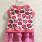 *完成品のみ*ﾌﾘﾌﾘｽｶｰﾄ付きイチゴのタンクSS 