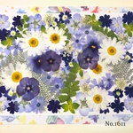 ♡new♡  ♡可愛い押し花セット♡ ♡たくさん入って使いやすい押し花セット♡