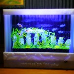 世界異産ミステリー