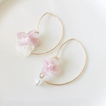 hydrangea asymmetry pierce