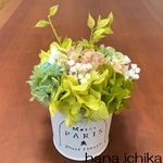 プレゼント紫陽花アレンジ②