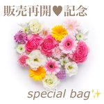 《数量限定》販売再開記念♥special bag