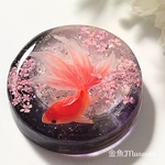満月の金魚〜ピンクムーン