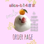 5/24 alice-b14さま　専用オーダーページ