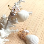 二枚貝 シェルピアス