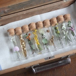 ボトルフラワー/植物標本（選べる3点セット） ※ボトルの中の花の組み合わせを季節に合わせて変更しました
