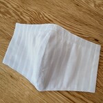 ワイヤー入り 立体マスク