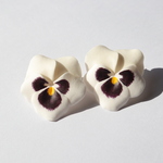 Twin×pansy mini ear accessory【white】