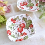 2枚セット＊ストロベリー キュートな春風 シンプル小皿　ミニプレート 華やかティータイムに ♪いちご 苺