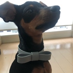 レザーリボン首輪