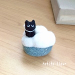 こつぶ(黒猫)  空の旅︎︎☁*°