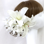 カサブランカ２輪＆雪花火４本