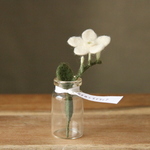 飾れるお花ブローチ（セイロンライティア）