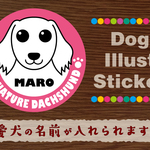 犬　ステッカー/シール　名前入り　ミニチュアダックス（ロング）　52