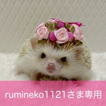 ミニバラの花かんむり（ピンク）