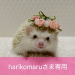 [コピー] ミニバラの花かんむり（サーモンピンク）
