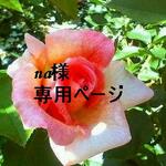 【na様専用ページ】花とオーロラのしずく＊*ネックレス。