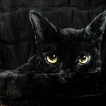 【お名前入れ無料】黒猫ちゃんの黒リュック