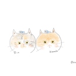 専用ページ