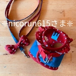 ❇︎nicorun615さま❇︎ハーネスandリード