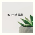 ab1k4様専用ページ