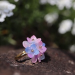 淡い色、紫陽花のリング