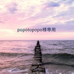 popotopopo様専用