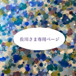 佐川さま専用ページ✨