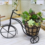 自転車　寄せ植え