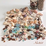 No198 海の宝物セット　800g　シェル　貝殻