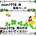 【オーダー】★クリスタ★pman1978様専用　イヤーカフセット×2　　