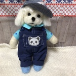 お出かけマルチーズくん(ranさん予約品)