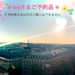 saly☆waさまご予約品*☆*―――――