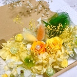 トロピカルリゾート＊ハーバリウム　花材ドライフラワー  花材詰め合わせセット