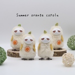 夏みかんコポル(Summer orange copolu)O〜R
