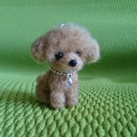 トイプードル アプリコット ストラップ 羊毛フェルト