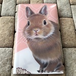 ネザーランドラビットさんのマスクケース