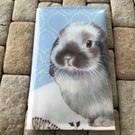 ロップイヤーラビットさんのマスクケース