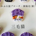 かぶる猫ブローチ[梅雨・紫陽花(紫)ver.](三毛猫)